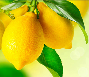 fresh eureka lemons