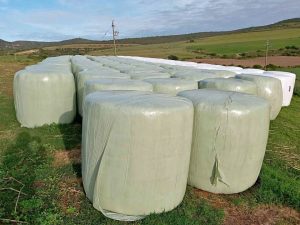 buy premium organic and fresh alfalfa hay
