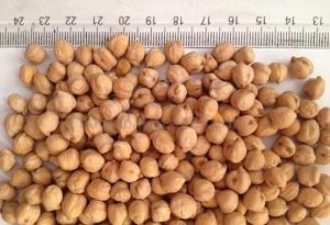 finest kabuli chickpeas for sale